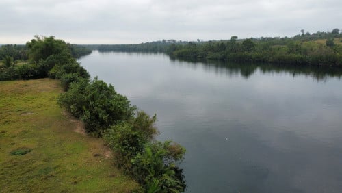 ដីជាប់ព្រែកធំ ប្លង់រឹង