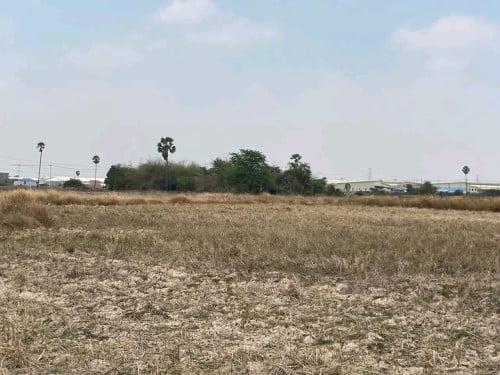 ដីលក់ប្រញាប់ ជិតរោងចក្រ