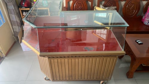 ទូរលក់មាសឬអលង្កា