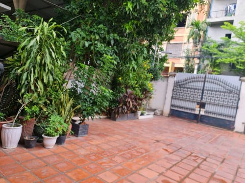 ផ្ទះជួល: 大型房屋出租 សង្កាត់ទួលទំពូង