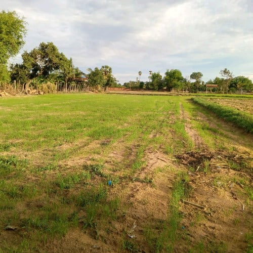 ដីលក់