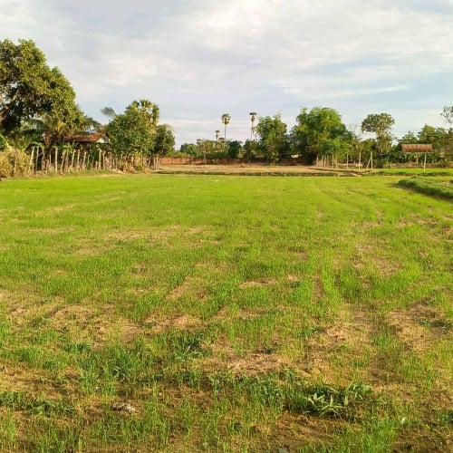 ដីលក់