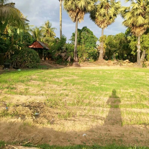 ដីលក់