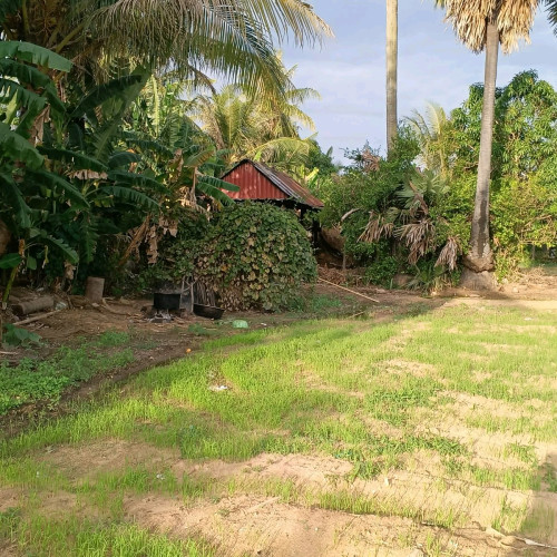 ដីលក់
