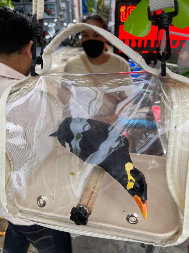 អាវងចេះយាយច្រើន