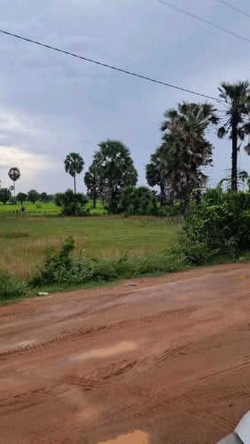 ដីលក់បន្ទាន់នៅក្រុងឧដុង្គម៉ែជ័យ10000