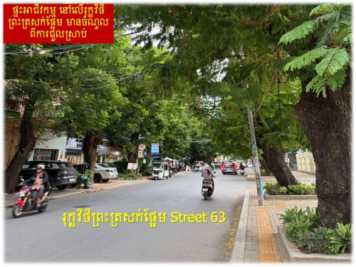 #S04099 »»» ផ្ទះអាជីវកម្មកែង ផ្លូវត្រសក់ផ្អែម St 63 ក្រោយព្រឹទ្ធសភា នៅទន្លេបាសាក់ លក់បន្ទាន់