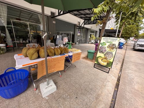 ធុរេនខ្មែរ ចំការធម្មជាតិ 🥰 Chipmong598