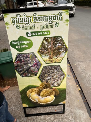 ធុរេនខ្មែរ ចំការធម្មជាតិ 🥰 Chipmong598