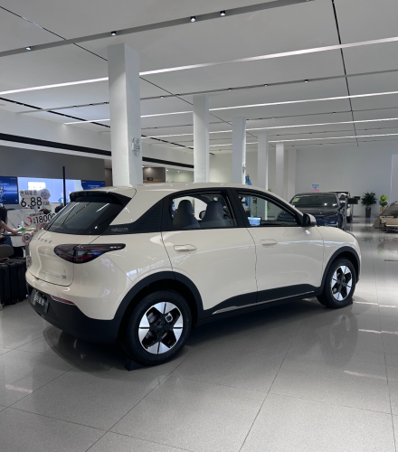 Geely GEOME (Rang410km)