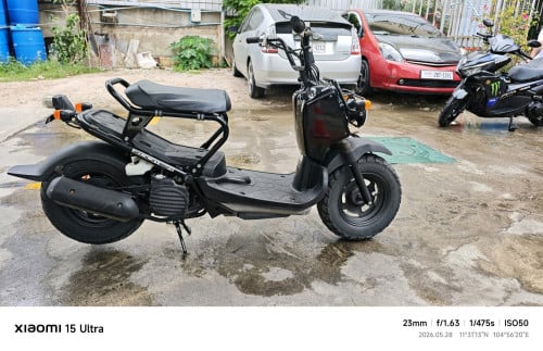 Honda Zoomer japan 50cc ๐ฏ๐ต แแพแแแแแแ แแแผแแผแแปแแแปแแแปแธแ แแแแแถแแแ