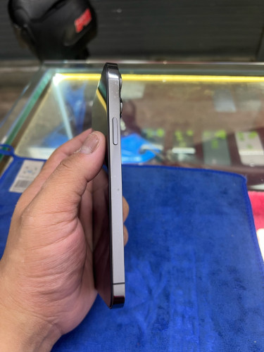 iPhone 13 Pro Max 256G ZP