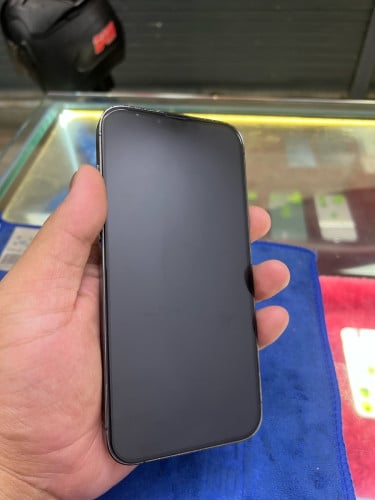 iPhone 13 Pro Max 256G ZP