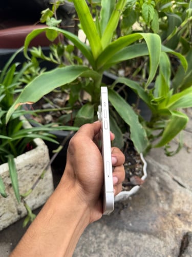iPhone 14 សាណុំសុីន