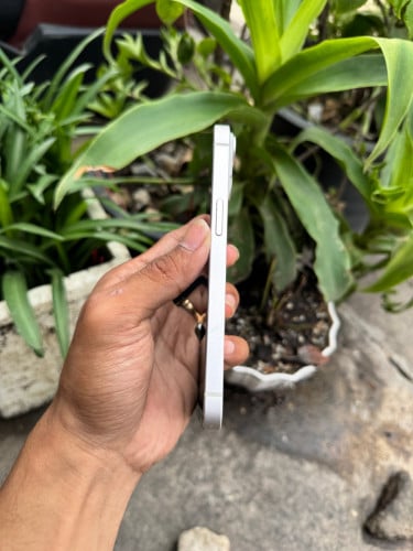 iPhone 14 សាណុំសុីន