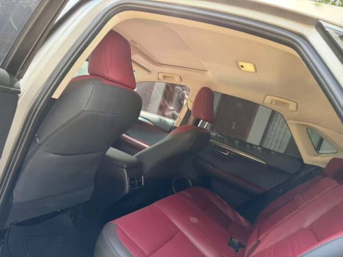 Lexus NX300h 2019
