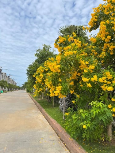 Link Villa for Rent at Borey The Flora