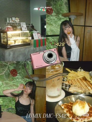 Lumix dmc fs42