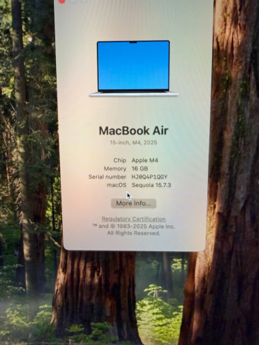 MacBook Air 15” M4 16/256 Silver 99%