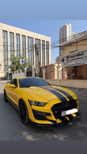 Mustang 2015