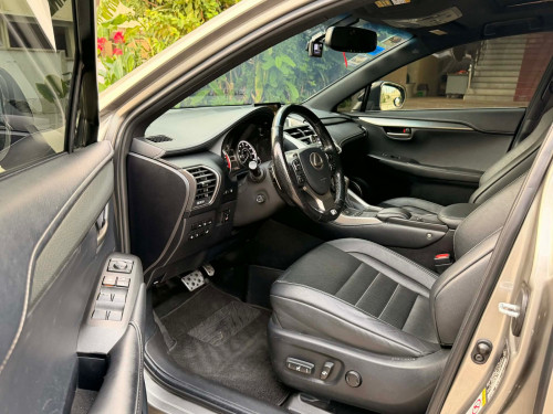 NX200T F-Sport 2017 6B P2