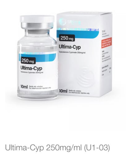 Supplement
