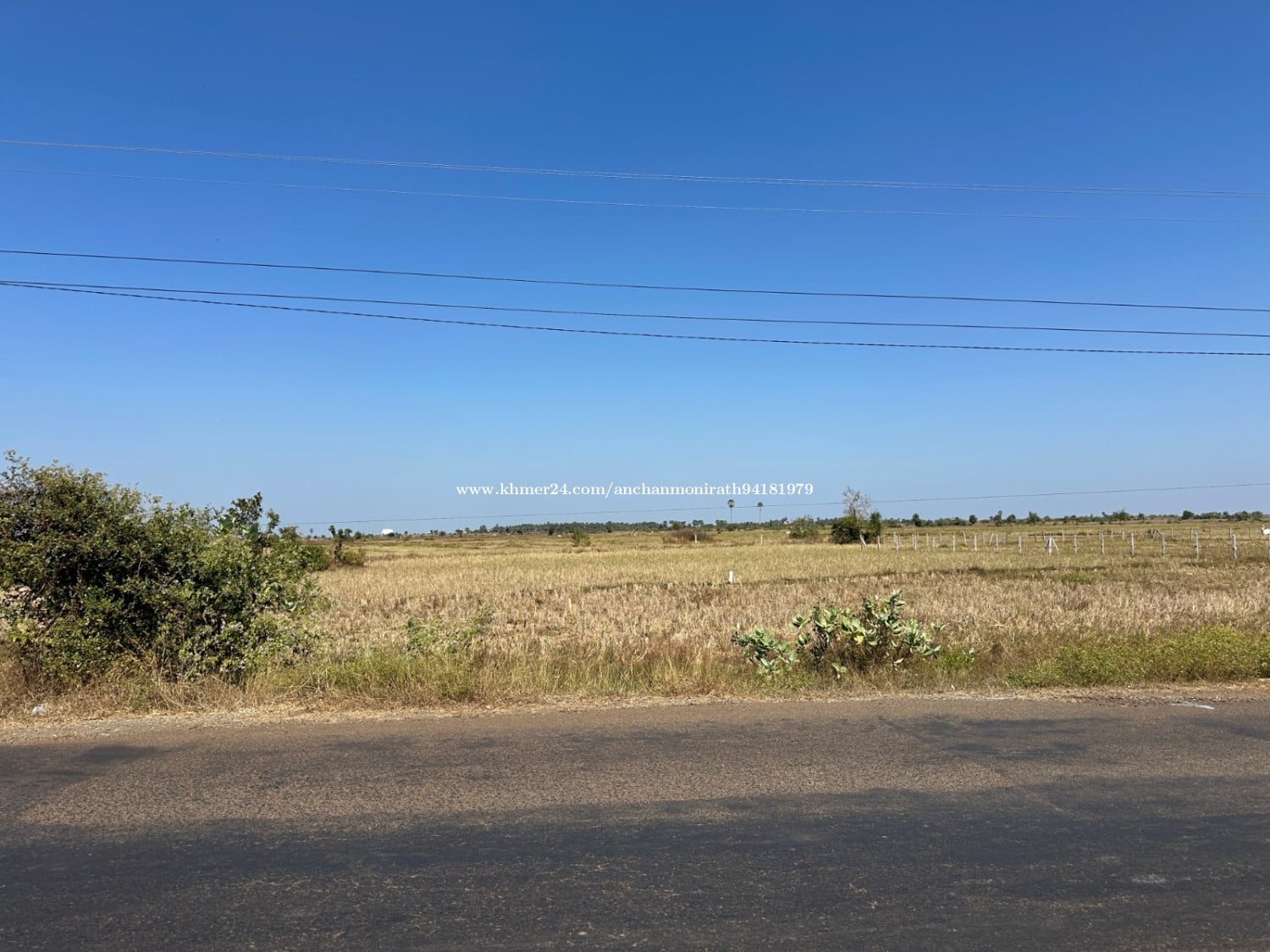 ដីលក់បន្ទាន់