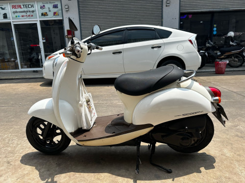 មានពន្ធត្រឹមត្រូវសំរាប់លក់