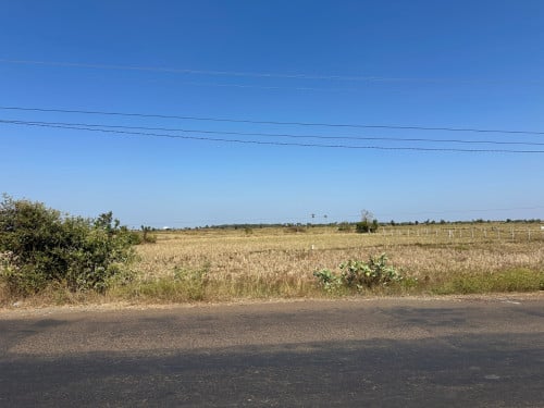 ដីលក់បន្ទាន់