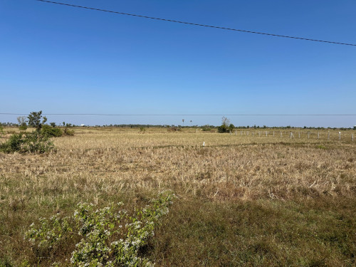ដីលក់បន្ទាន់