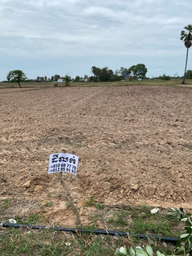 ដីលក់