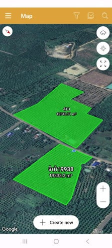 ដីចម្ការស្វាយលក់