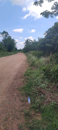 ដីចម្ការស្វាយលក់
