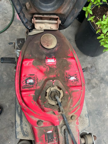 សង់ តែម ឆេះ