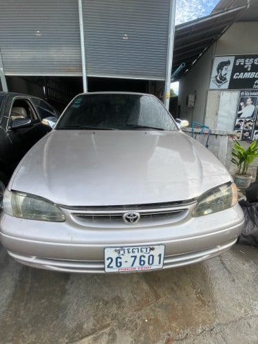 កូឡា1998លក់