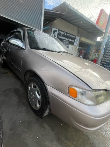 កូឡា1998លក់