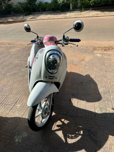 ម៉ូតូscoopy មានពន្ធត្រឹមត្រូវ