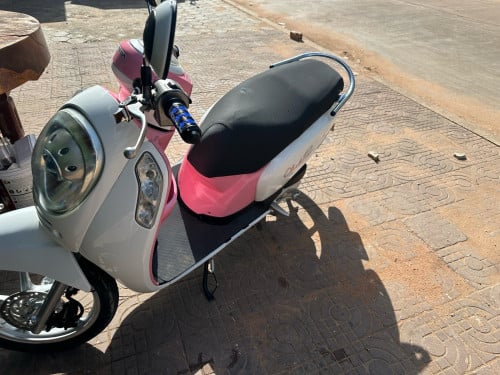 ម៉ូតូscoopy មានពន្ធត្រឹមត្រូវ
