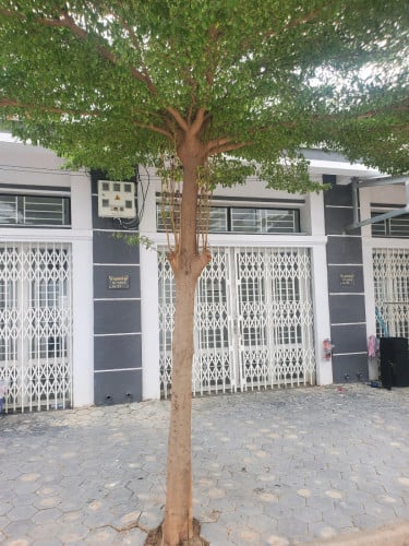 1ល្វែង