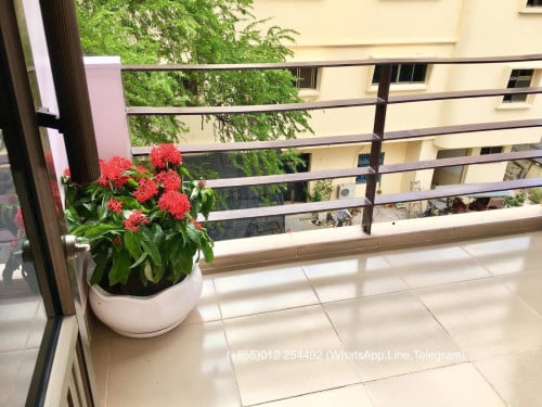 1 Bed 1 Baths Balcony Apartment for Rent