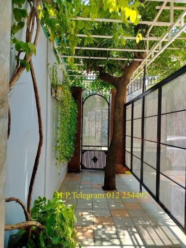 1 Bed 1 Baths Balcony Apartment for Rent
