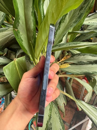13 promax 256G LLA សានុំសុីនទាំងម៉ាសុីននិងកញ្ជក់ 450 តម្លៃនិយាយគ្នាបាន