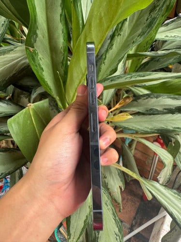 13 promax 256G LLA សានុំសុីនទាំងម៉ាសុីននិងកញ្ជក់ 450 តម្លៃនិយាយគ្នាបាន