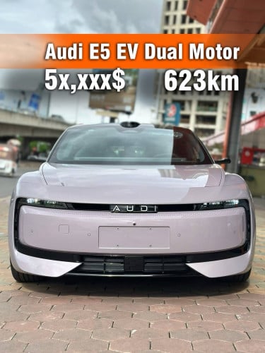 Audi E5 Dual motor