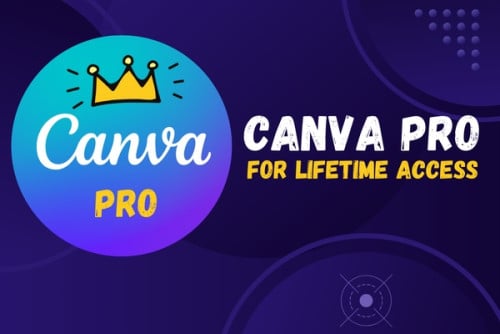 Canva pro ប្រើបានរហូត