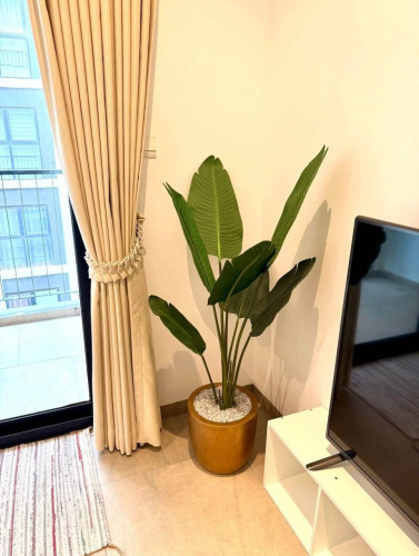 Condo for rent, location in Mean Chey