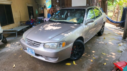 Corolla 01
