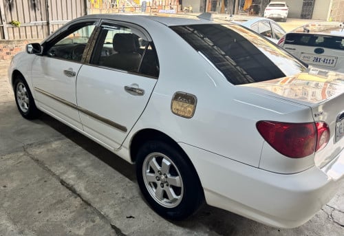 Corolla 03 ឡានកាលីក្នុងលឿងធានាឡានស្អាតអត់ដូរពណ៌អត់កាត់តឡានស្អាត អត់បុក
