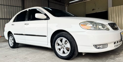 Corolla 03 ឡានកាលីក្នុងលឿងធានាឡានស្អាតអត់ដូរពណ៌អត់កាត់តឡានស្អាត អត់បុក