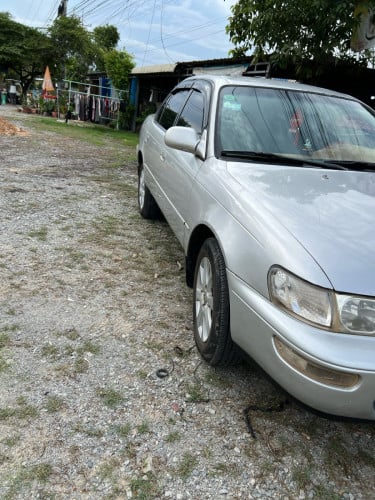 corolla DX